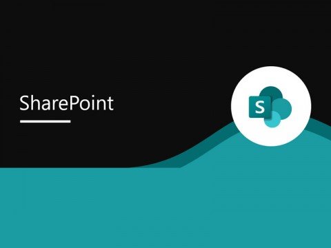 SharePoint Audit 