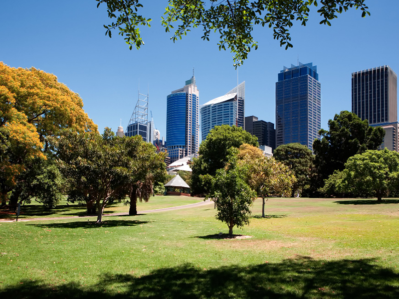 The State of Web Development in Australia