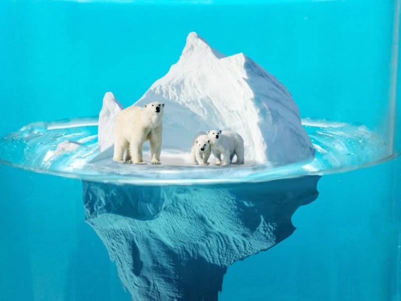 Iceberg model of culture examples: